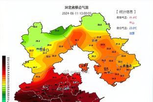 ?普尔“拥有了自己的球队”后 球权和时间反而还下降了